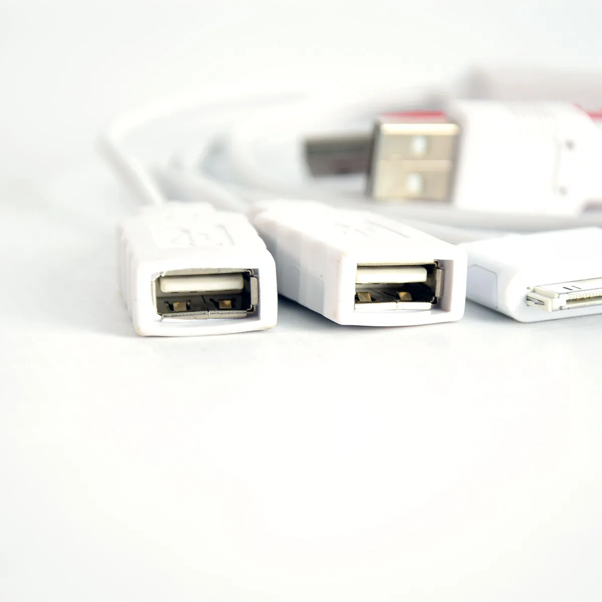 4 Port USB 2.0 Squid Hub - Mini-B 5 Pin, 30-Pin, (2) Female USB