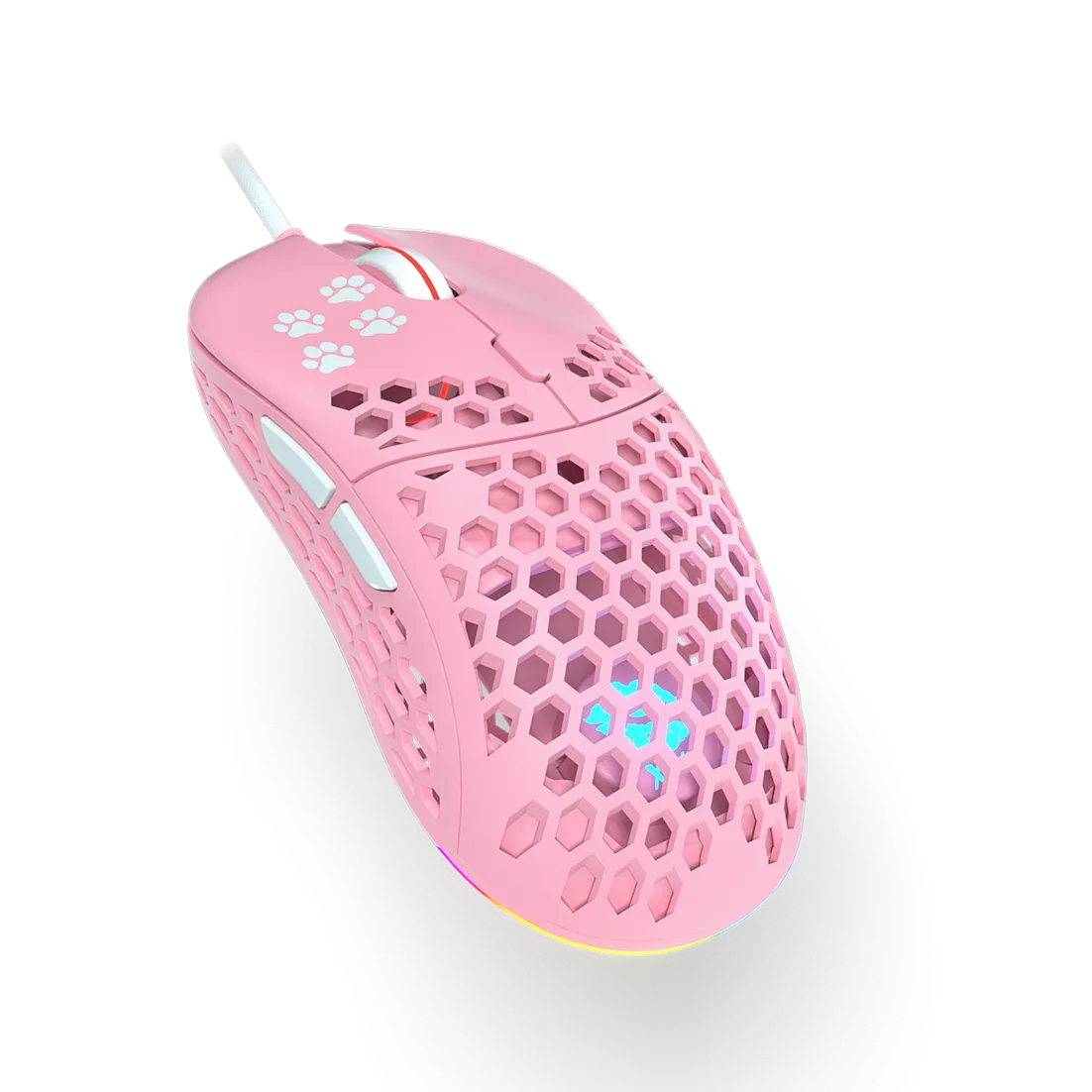 Belle Delphine X Ghost Starter Kitty Combo