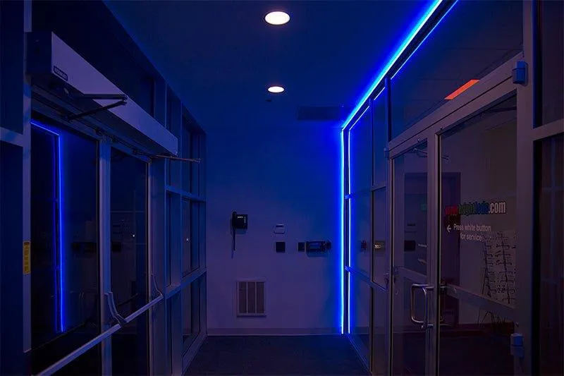 Blue LED Neon Flex AC 220V 240V 8x16mm 120LEDs/m IP65 Waterproof with UK Plug