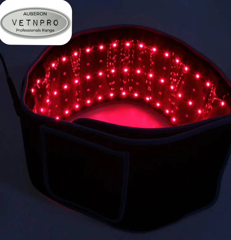Human Infrared Red Light Therapy Waist Belt Pad Wrap Back Vital Organs Musculoskeletal Pain Relief Healing Rehab Recovery Weightloss Multipurpose Wrap