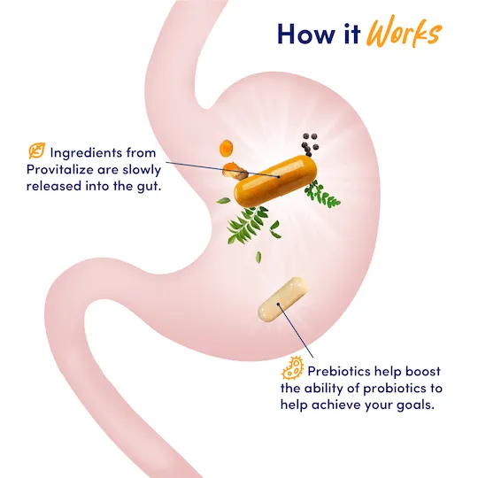 Slim Gut Bundle Subscription