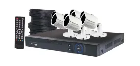 Surveillance Packages 4MP AHD Real Time CCTV Hybrid DVR   4 Camera Bullet Package  S9901G