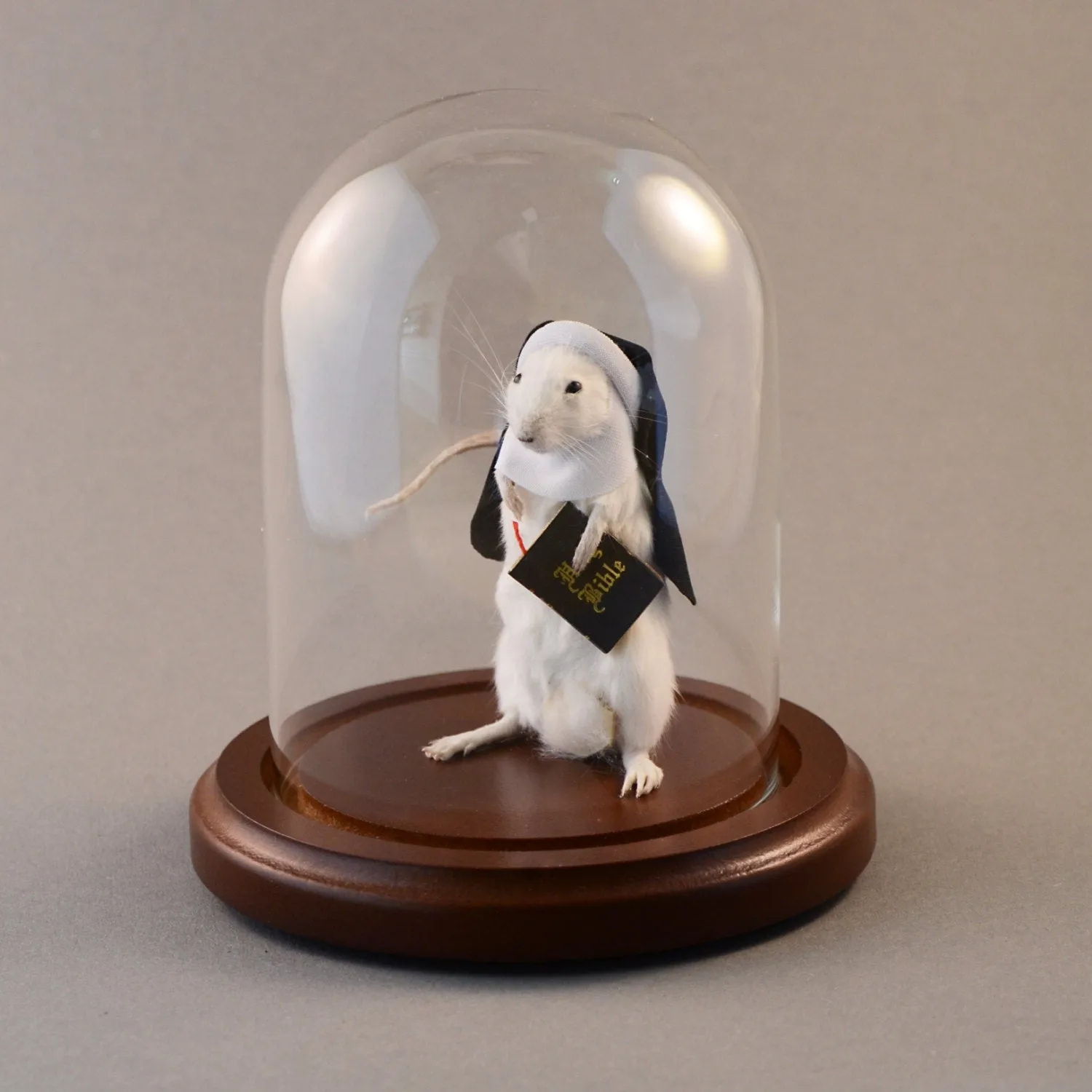 Taxidermy Nun Mouse
