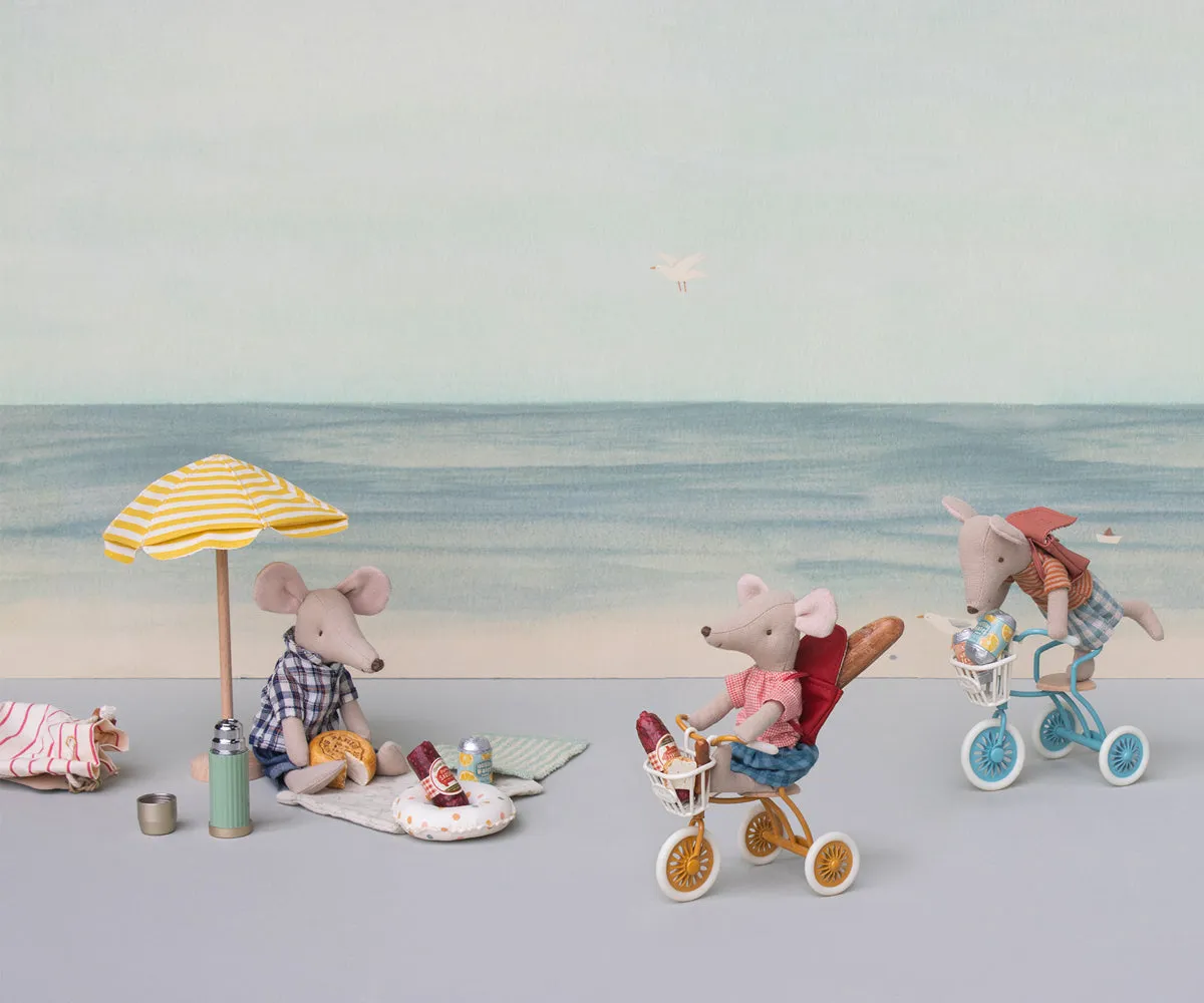 Tricycle Basket, Mouse