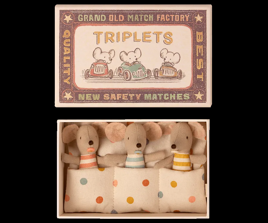Triplets, Baby Mice in Matchbox