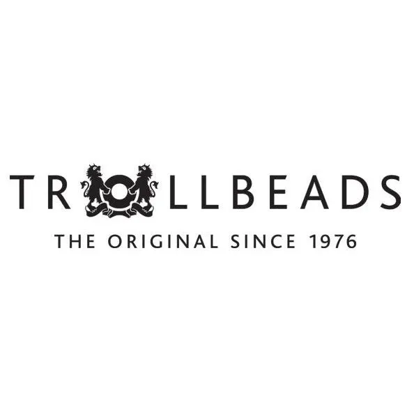 Trollbeads Silver Bead Connection
